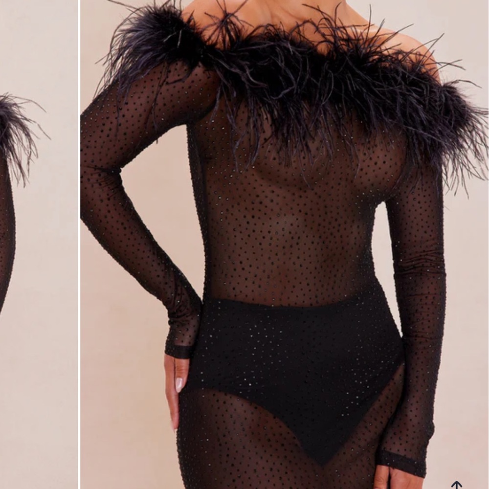 Sheer Black Maxi Dress w/ Feathers